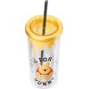 imageSilver Buffalo Furby Pastel Iridescent Plastic Tall Cold Cup with Lid and Straw 20 OuncesWinnie the Pooh